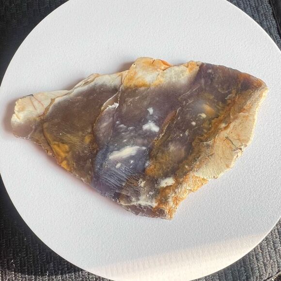 Blue Petrified Wood Freeform Slab (4) - Picture 6 of 10